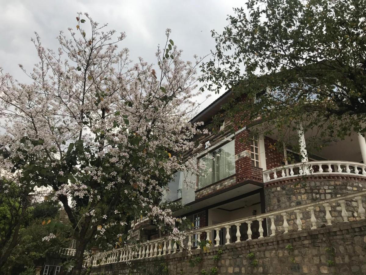 Chateau De Tatli - Hilltop - Dehradun Exterior photo